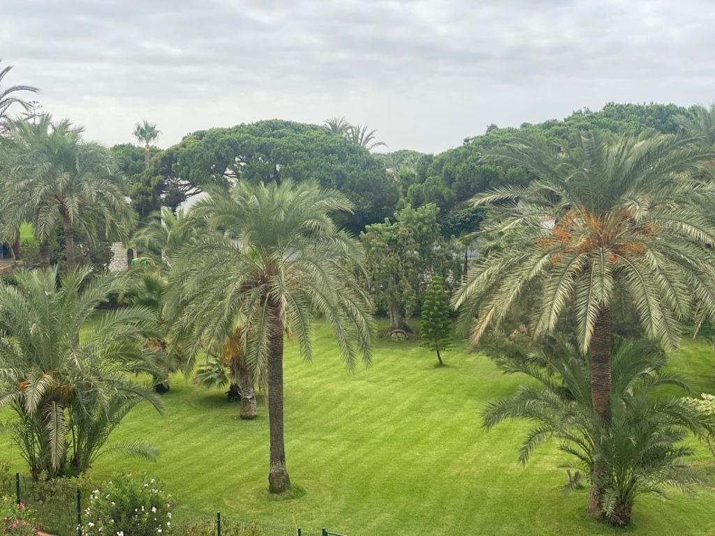 Apartamento Renovated Modern Elegant Studio With Sea View